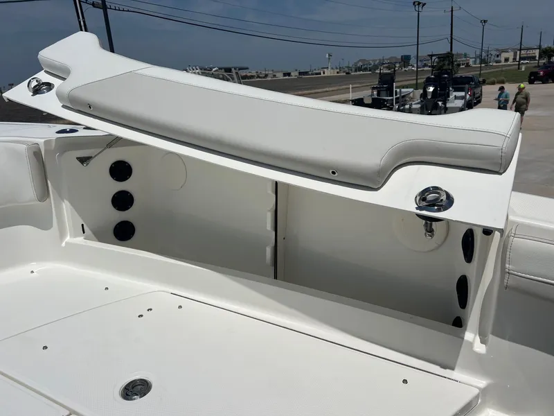 Slide: The Image of World Cat 295 CC 2024 - 15