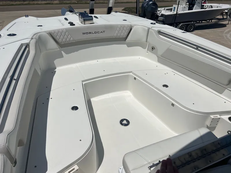 Slide: The Image of World Cat 295 CC 2024 - 16