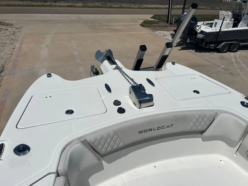 Slide: The Image of World Cat 295 CC 2024 - 17