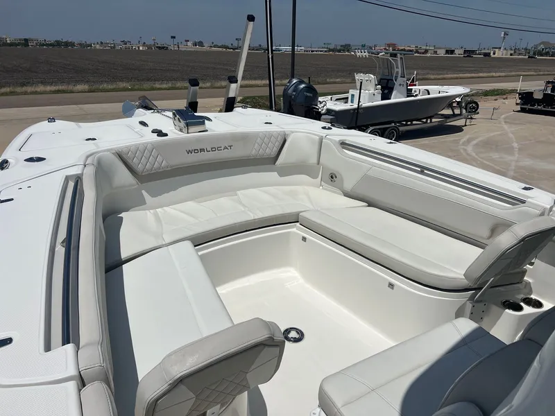 Slide: The Image of World Cat 295 CC 2024 - 20