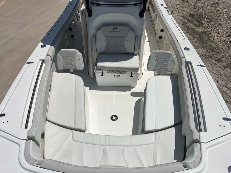 Slide: The Image of World Cat 295 CC 2024 - 21