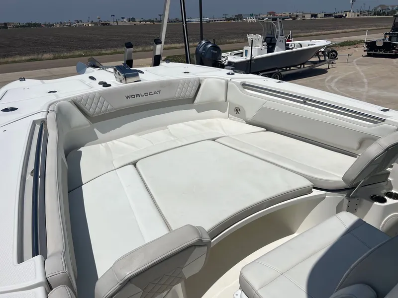 Slide: The Image of World Cat 295 CC 2024 - 22