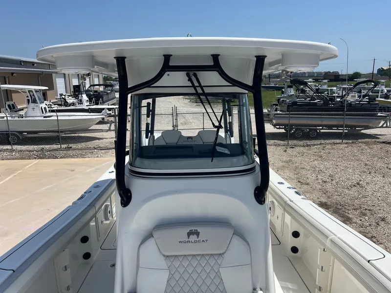 Slide: The Image of World Cat 295 CC 2024 - 26