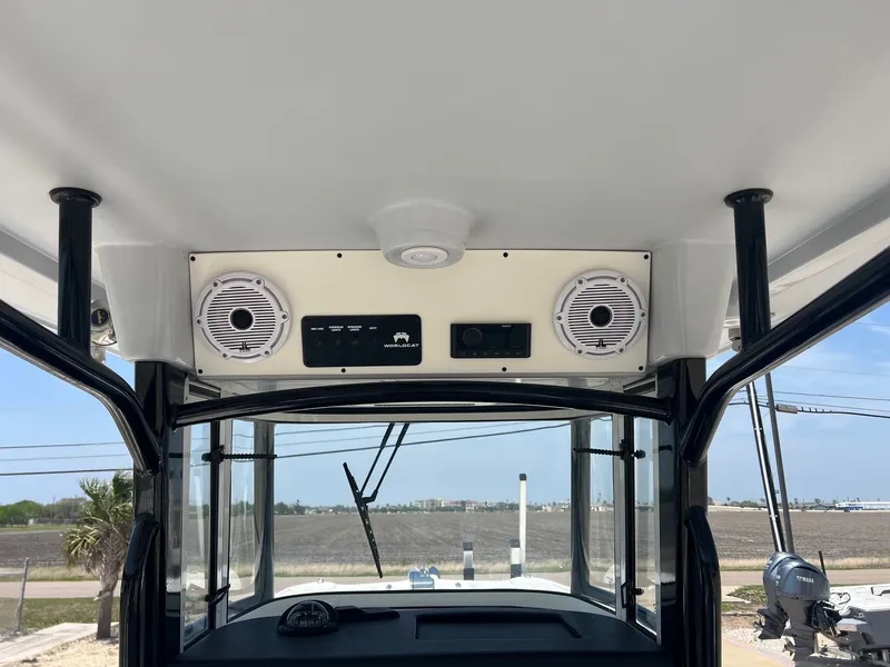 Slide: The Image of World Cat 295 CC 2024 - 28