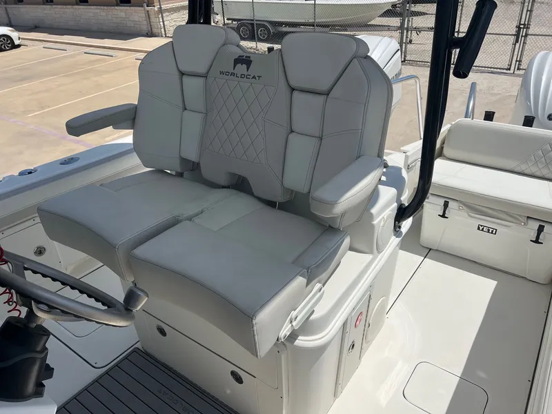 Slide: The Image of World Cat 295 CC 2024 - 32