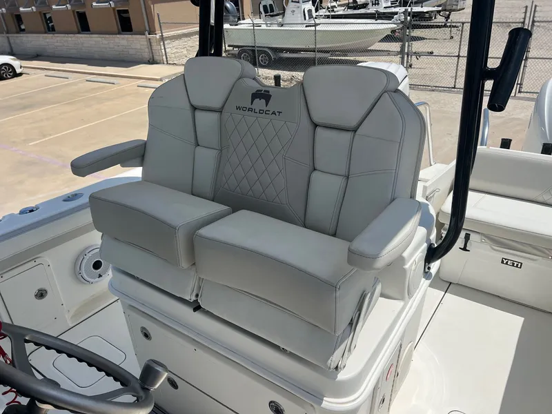 Slide: The Image of World Cat 295 CC 2024 - 33