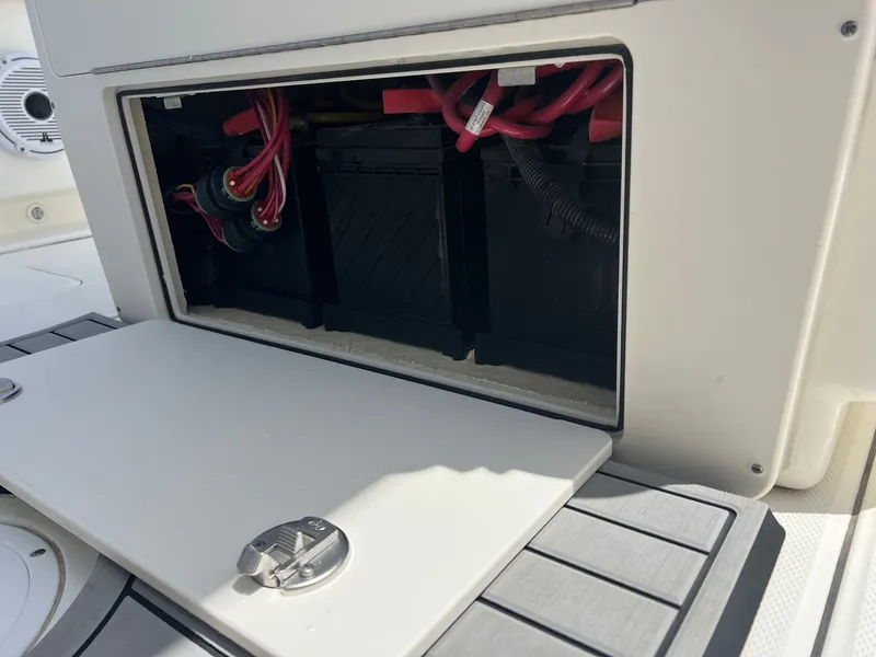 Slide: The Image of World Cat 295 CC 2024 - 34