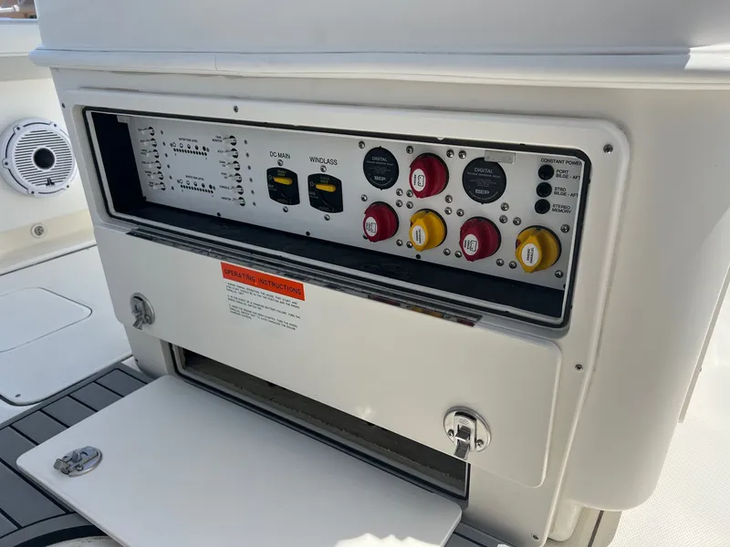 Slide: The Image of World Cat 295 CC 2024 - 35