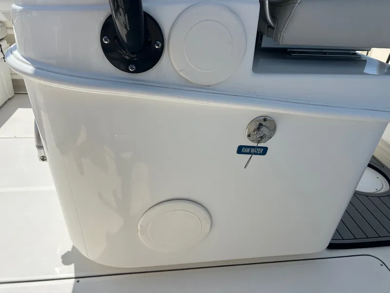 Slide: The Image of World Cat 295 CC 2024 - 36