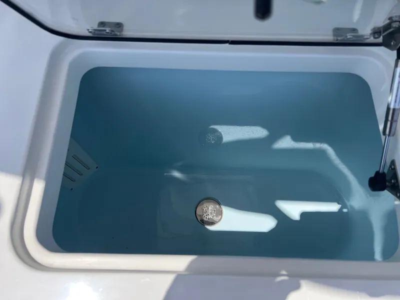 Slide: The Image of World Cat 295 CC 2024 - 38