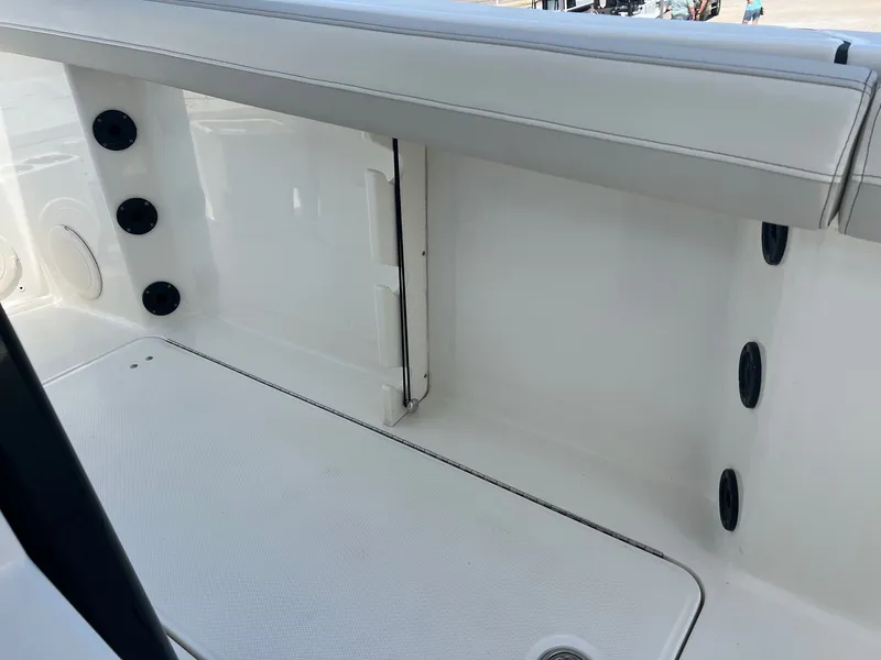 Slide: The Image of World Cat 295 CC 2024 - 39