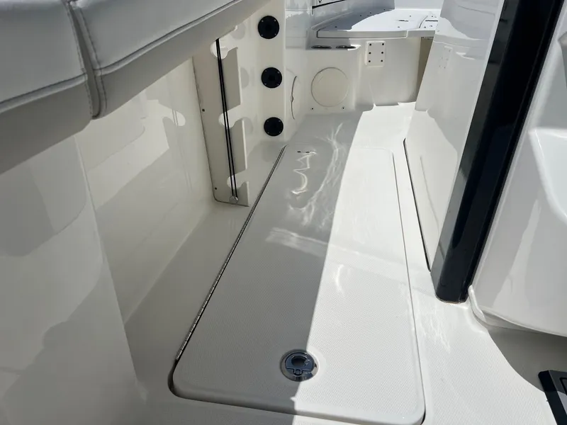 Slide: The Image of World Cat 295 CC 2024 - 41