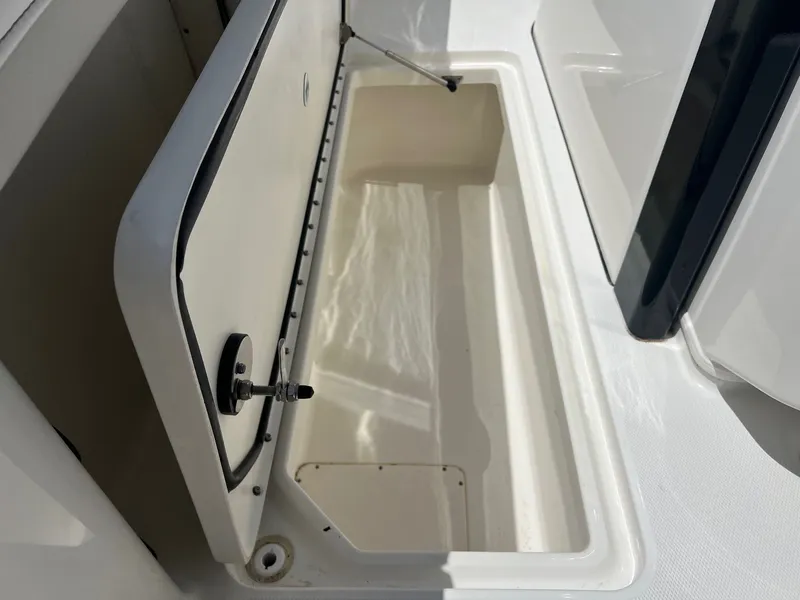 Slide: The Image of World Cat 295 CC 2024 - 42