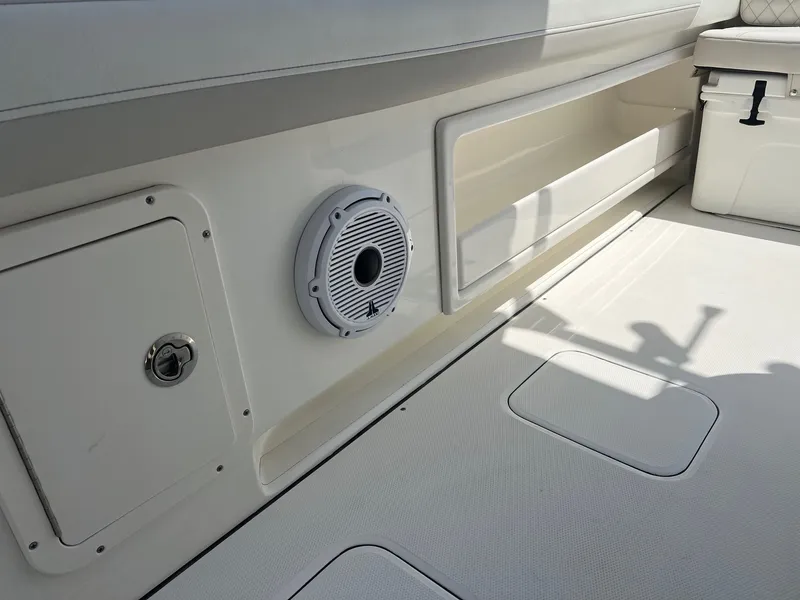 Slide: The Image of World Cat 295 CC 2024 - 43