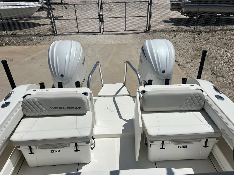 Slide: The Image of World Cat 295 CC 2024 - 45