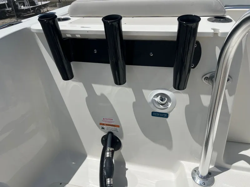 Slide: The Image of World Cat 295 CC 2024 - 49