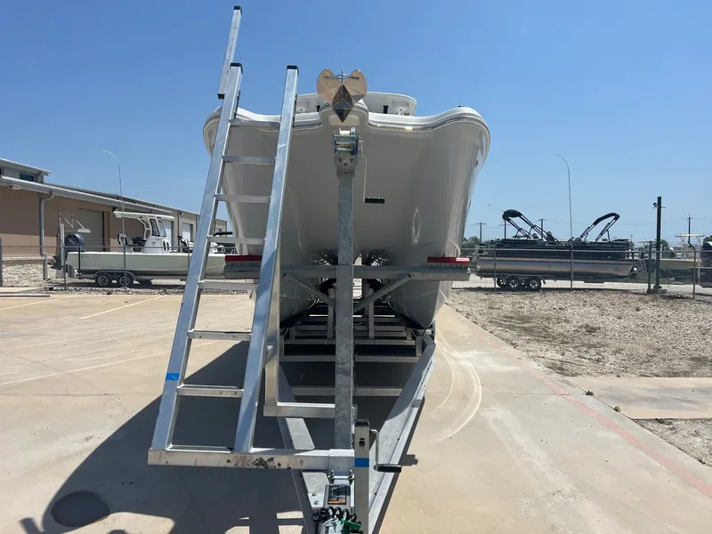 Slide: The Image of World Cat 295 CC 2024 - 5