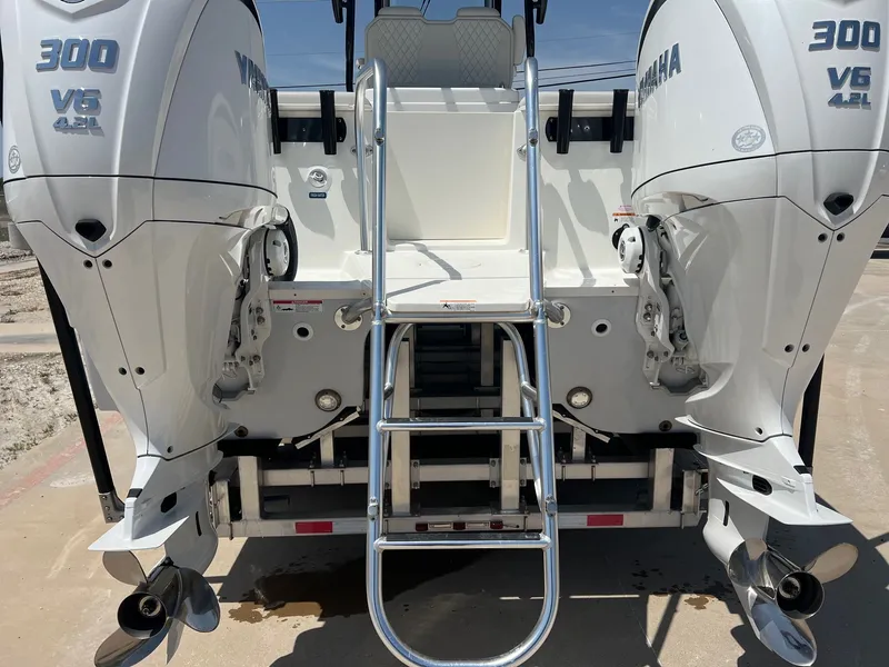 Slide: The Image of World Cat 295 CC 2024 - 51