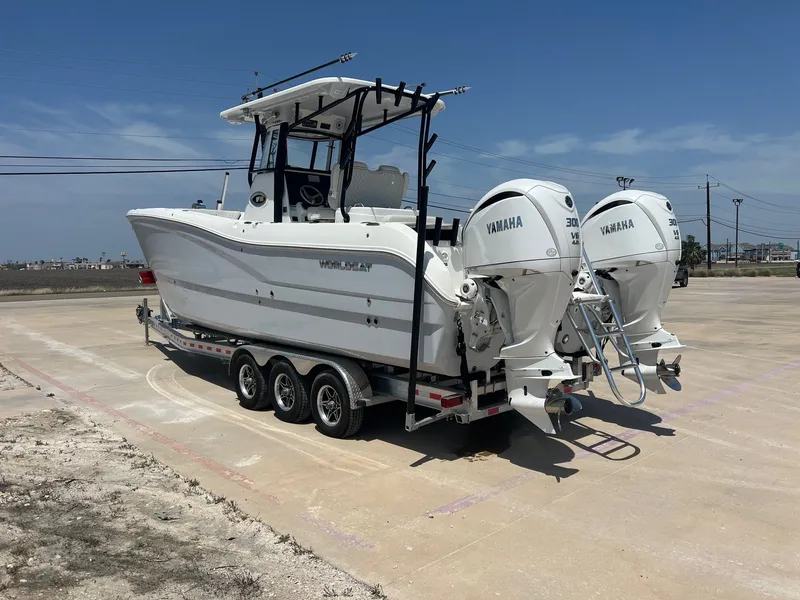 Slide: The Image of World Cat 295 CC 2024 - 8