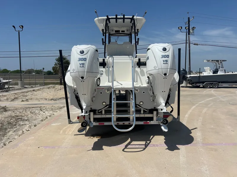 Slide: The Image of World Cat 295 CC 2024 - 9