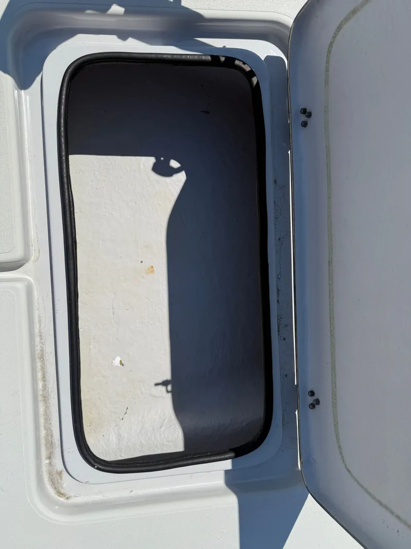 Slide: The Image of Shoalwater 23 Cat 2023 - 28