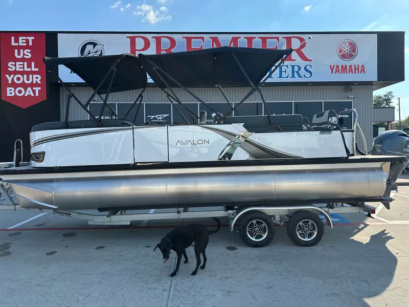 The Image of Avalon LSZ Quad Lounge Shift - 23' 2025 - 1