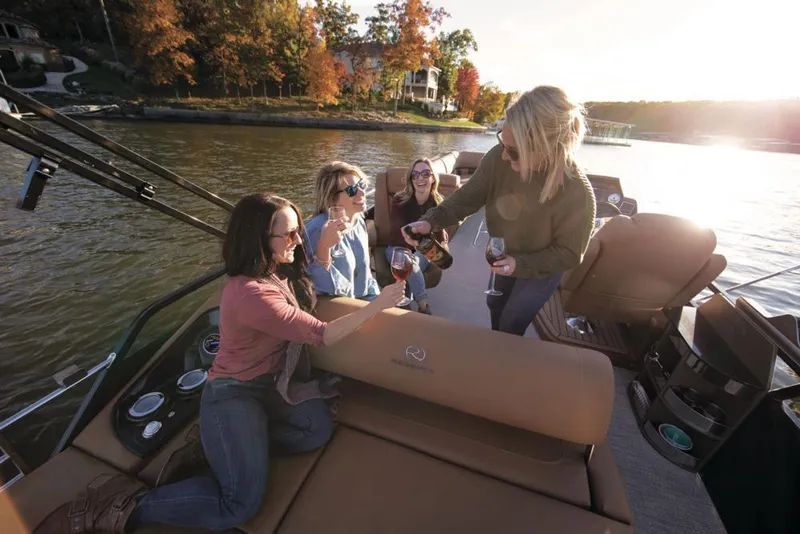 Slide: The Image of Manufacturer Provided Image - 96