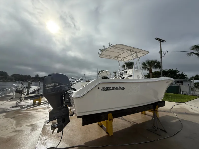 The Image of Release 208 2015 - 0