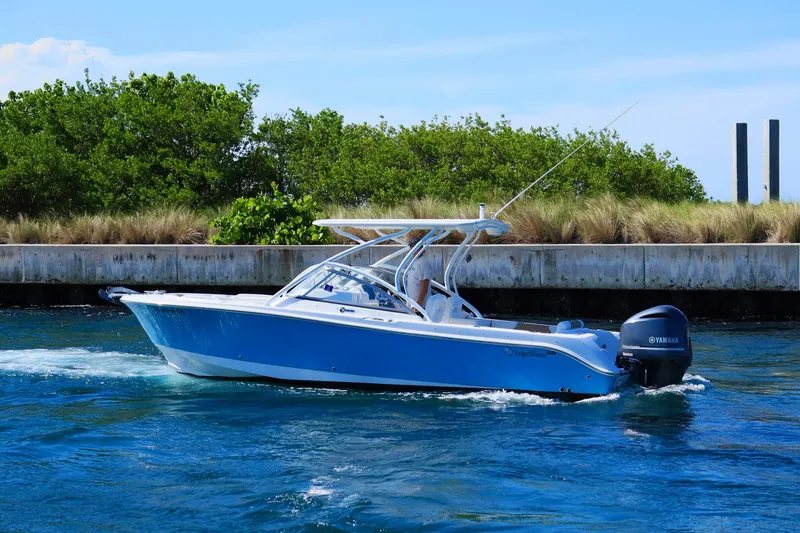 Slide: The Image of 2015 Everglades 245 CX boat cruising on blue water near a grassy shoreline. - 2