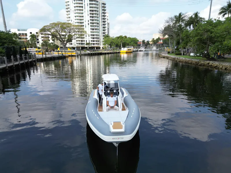 Slide: The Image of 2024 Sea Prop COMFORT 30 boat cruising on a calm river with cityscape background. - 2