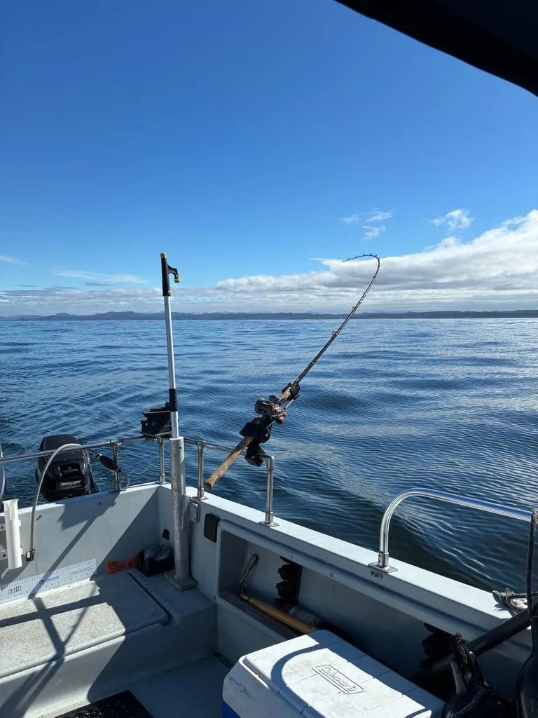 Slide: The Image of Tiderunner Salty Dog 18 1986 - 3