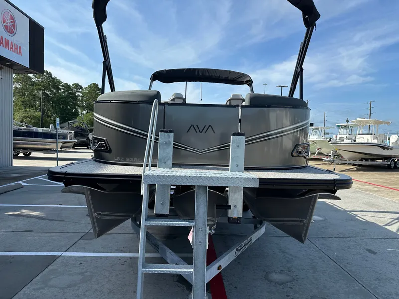 Slide: The Image of Avalon LSZ VRB23T 2025 - 5