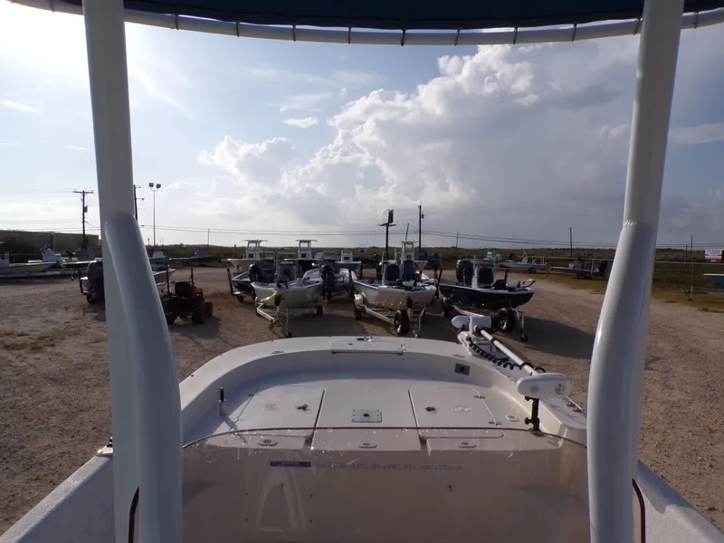 Slide: The Image of Carolina 238 DLV 2018 - 24