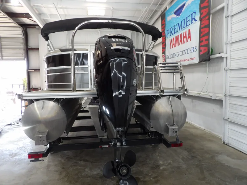 Slide: The Image of Trifecta 22RFLE275 2023 - 8