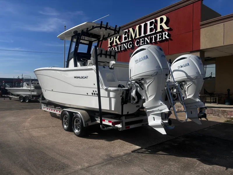 Slide: The Image of World Cat 260 CC-X 2024 - 10