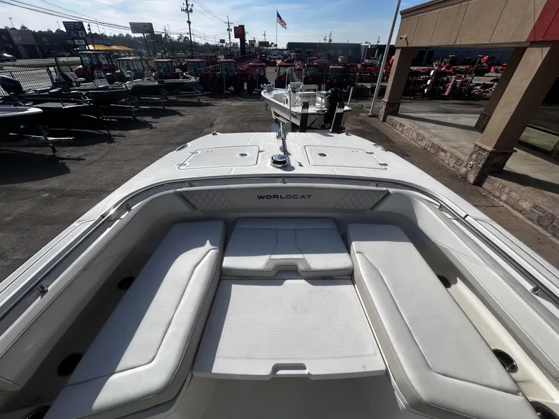 Slide: The Image of World Cat 260 CC-X 2024 - 11