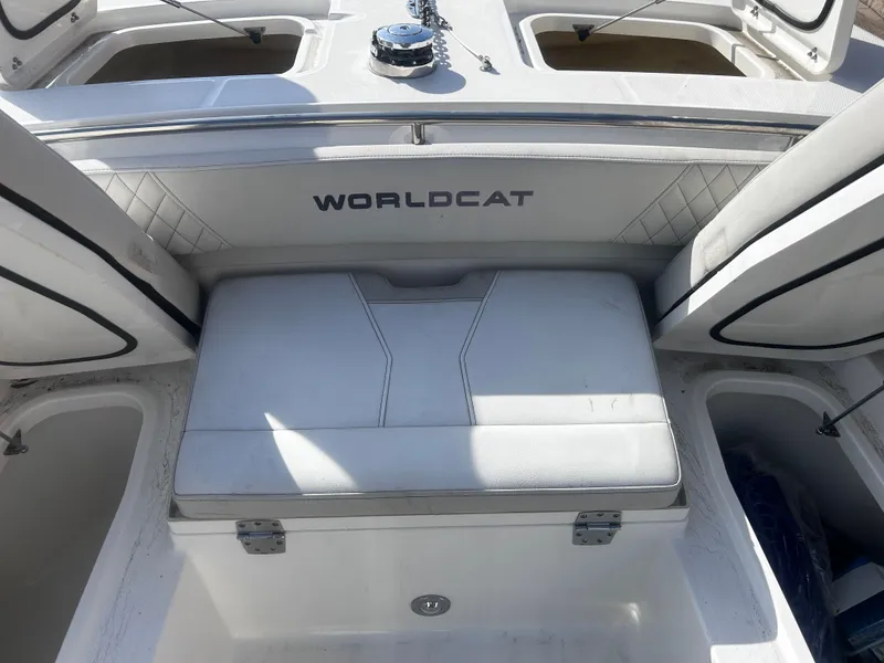 Slide: The Image of World Cat 260 CC-X 2024 - 16