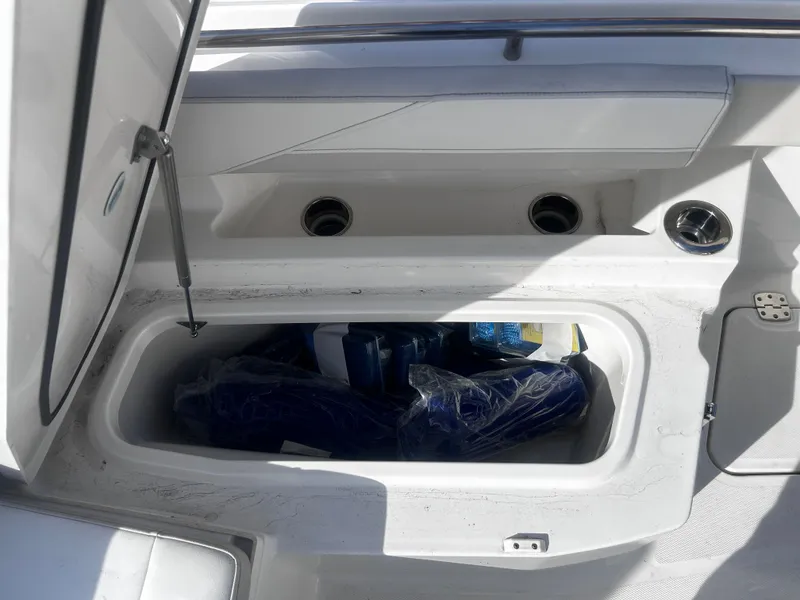 Slide: The Image of World Cat 260 CC-X 2024 - 17