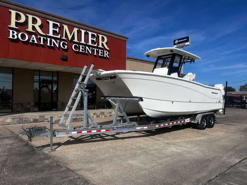 Slide: The Image of World Cat 260 CC-X 2024 - 3