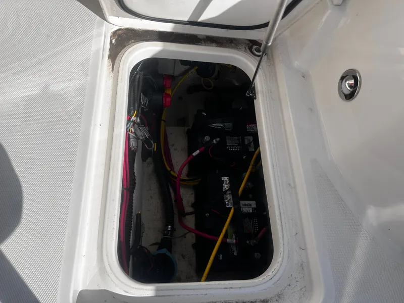 Slide: The Image of World Cat 260 CC-X 2024 - 40