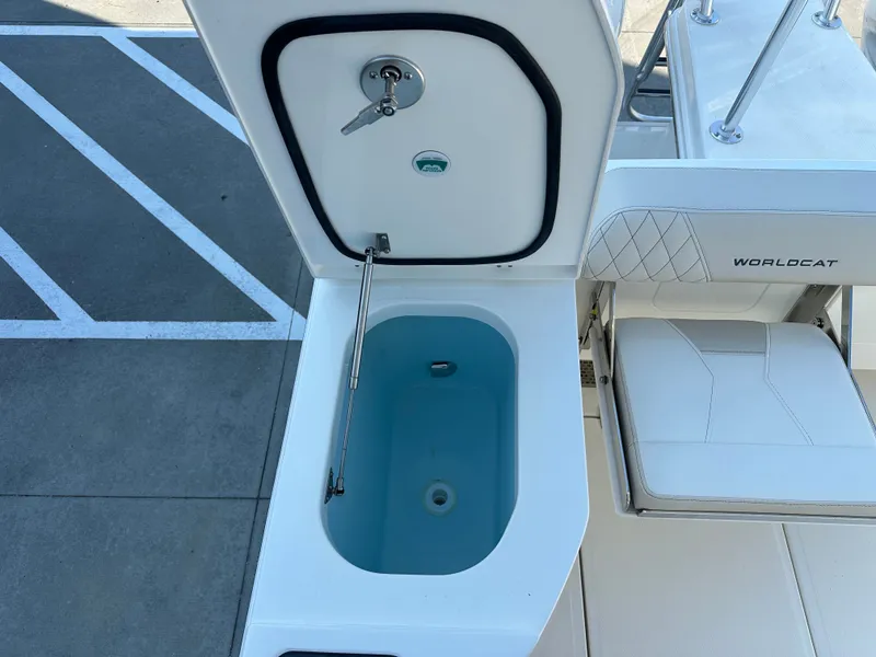 Slide: The Image of World Cat 265DC 2026 - 14