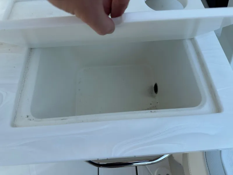 Slide: The Image of World Cat 265DC 2026 - 17