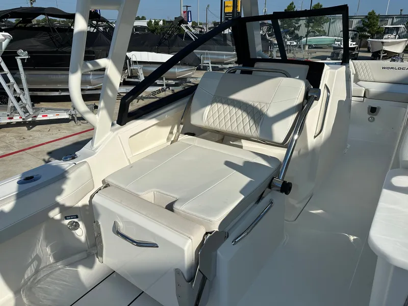 Slide: The Image of World Cat 265DC 2026 - 21