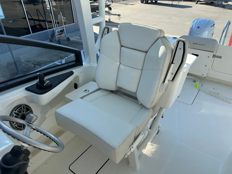 Slide: The Image of World Cat 265DC 2026 - 23