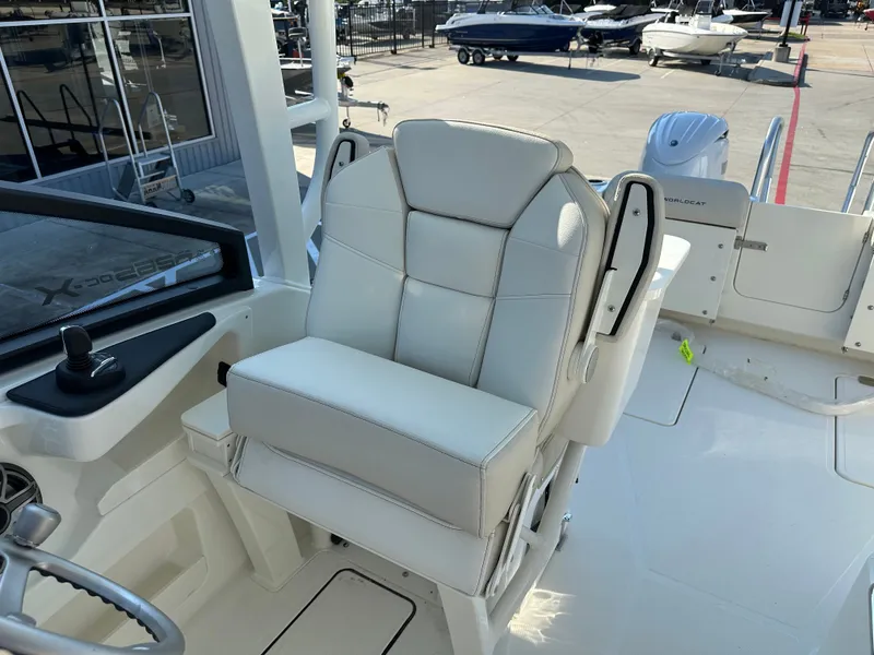 Slide: The Image of World Cat 265DC 2026 - 24