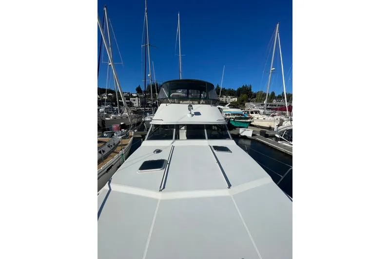 Slide: The Image of 1988 Bayliner 3888 Motoryacht docked in a marina under clear blue skies. - 25