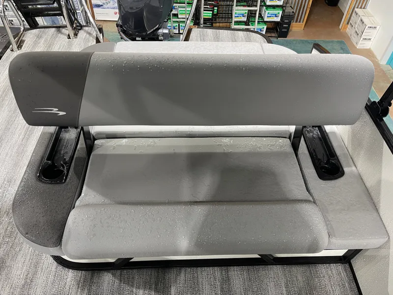 Slide: The Image of Bennington 22SSBSE 2025 - 22