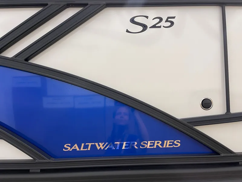 Slide: The Image of Bennington 25SSRSE 2025 - 31