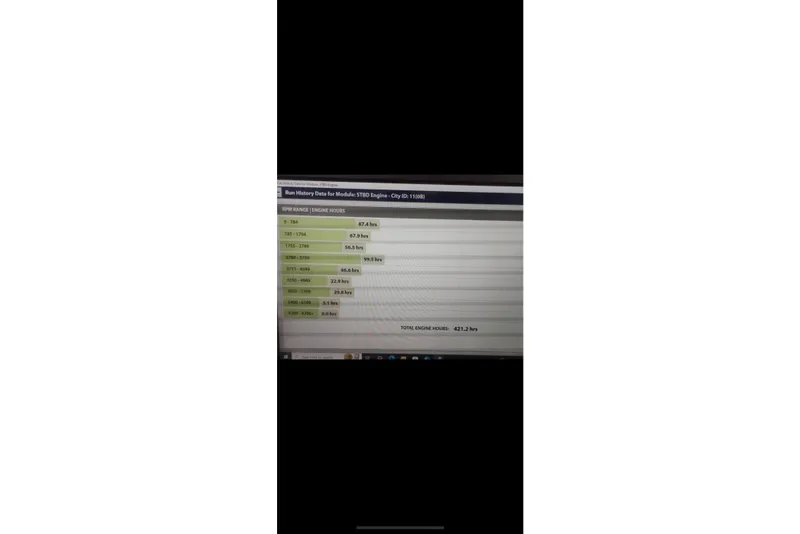 Slide: The Image of RPM range and engine hours data for Lowe SS 270, 2021 model. - 13