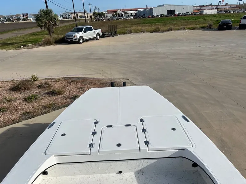 Slide: The Image of Freedom Warrior 23 2024 - 11